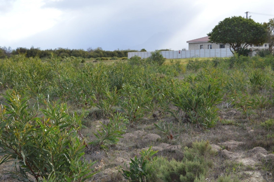 0 Bedroom Property for Sale in Fisherhaven Western Cape